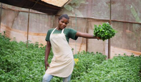 A person wearing a green shirt, apron, and jeans stands in a greenhouse, smiling and holding a bunch of fresh green leafy vegetables while surrounded by plants.