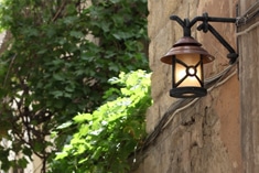 A vintage lantern-style light fixture is mounted on a stone wall, glowing softly. Green leafy vines climb the wall nearby, adding a natural touch to the rustic outdoor setting.