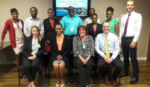 A group of thirteen people, dressed in business attire, pose together in a conference room. A presentation slide on a screen in the background reads Caribbean Cooling Initiative (COOL) Inception Meeting..