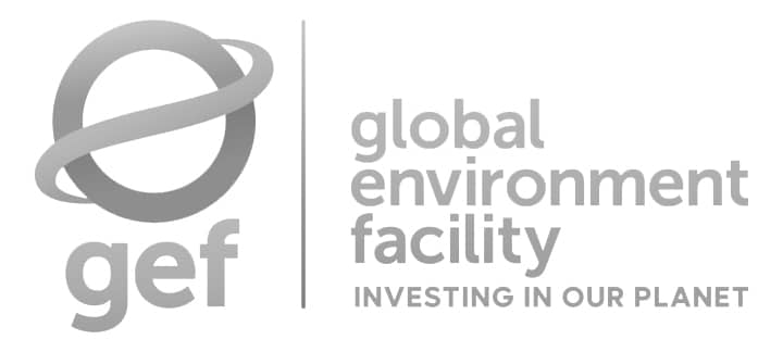 The Global Environment Facility logo with a swirling circle symbol, followed by the text: global environment facility, investing in our planet..