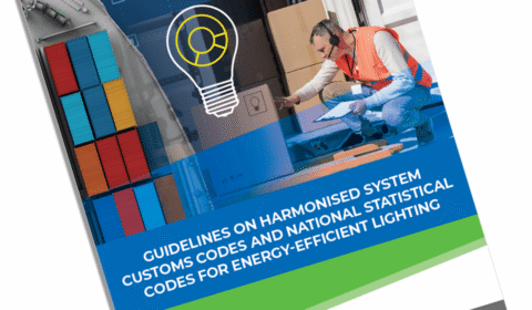 A man in a safety vest checks boxes near a shipping container. Overlay text reads: Guidelines on Harmonised System Customs Codes and National Statistical Codes for Energy-Efficient Lighting..