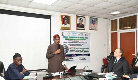A man speaks at a podium in a conference room with attendees seated; a banner behind him displays information about the Energy Commission of Nigeria and green energy initiatives.