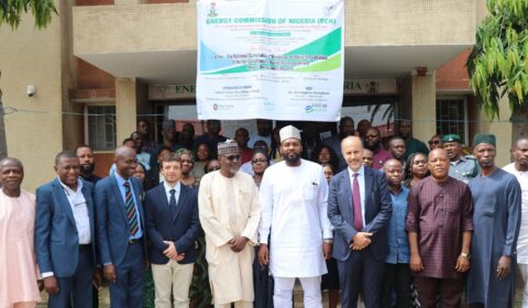 A diverse group of people in formal attire pose in front of a building under a banner for the Energy Commission of Nigeria, promoting sustainable energy and climate action.
