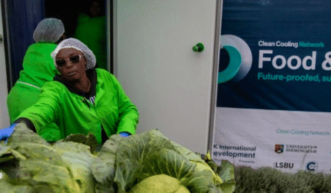 A worker in a green coat handles leafy vegetables near a refrigerated unit. A Food & Health banner from the Clean Cooling Network is visible in the background, promoting sustainable cold chains.