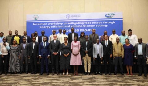 A group of people poses for a photo in front of a banner at a workshop on mitigating food losses through energy-efficient and climate-friendly cooling.