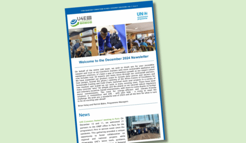 A newsletter titled Welcome to the December 2024 Newsletter with photos of people at an event, U4E and UN logos, and text about achievements and activities.